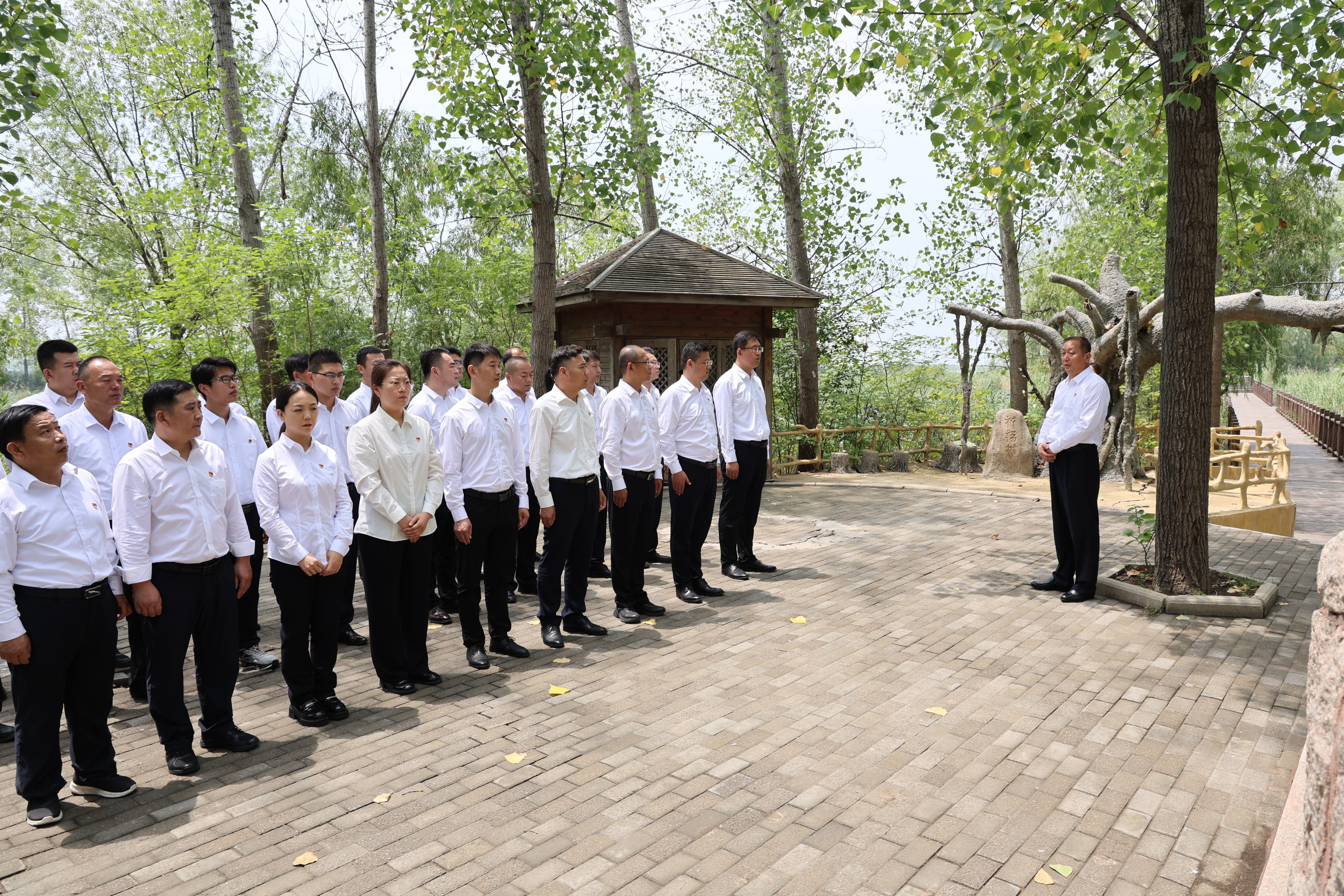 1720170464343647.jpg 1720170464343647.jpg