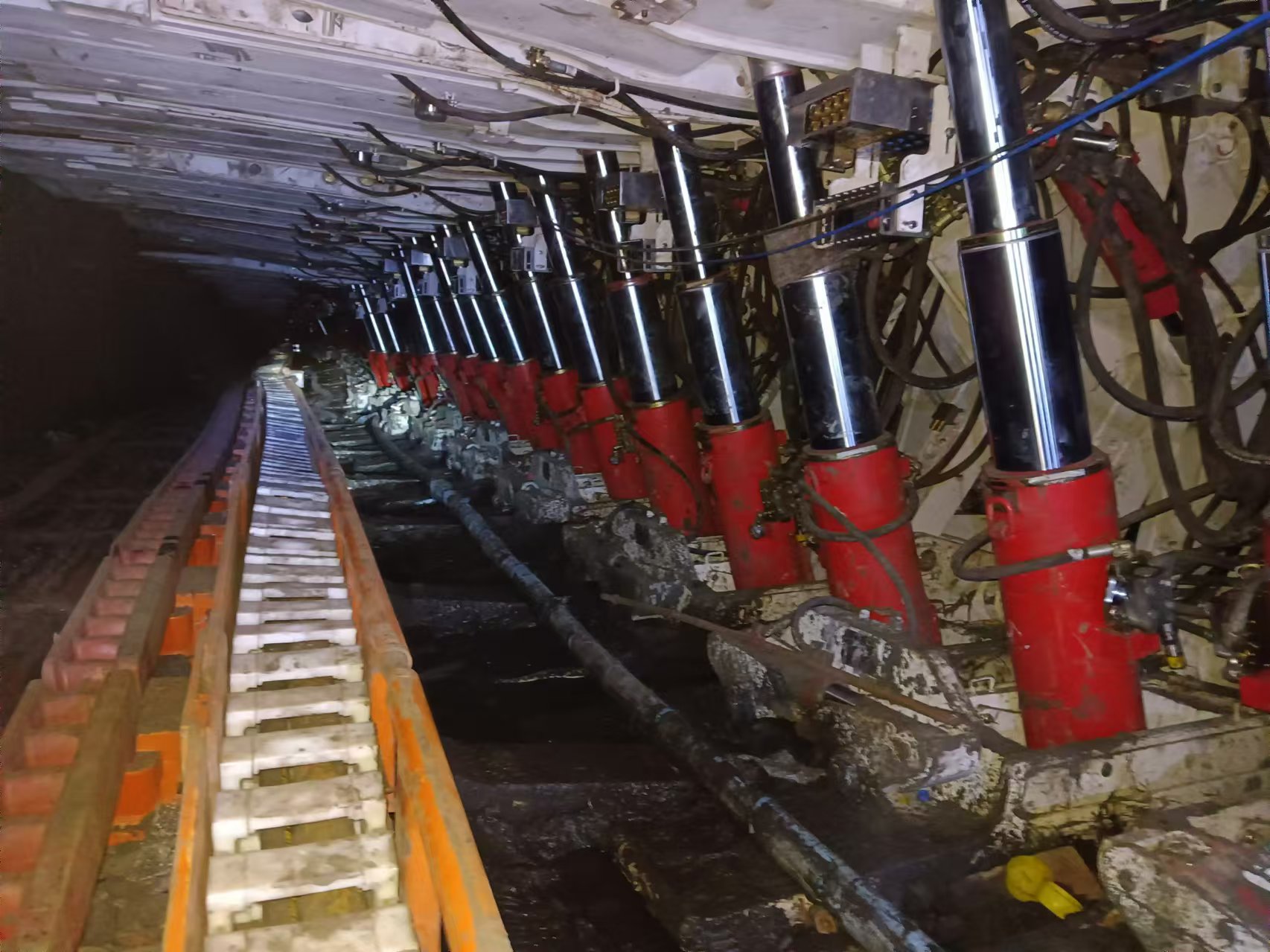 1732264785130068.jpg 1732264785130068.jpg