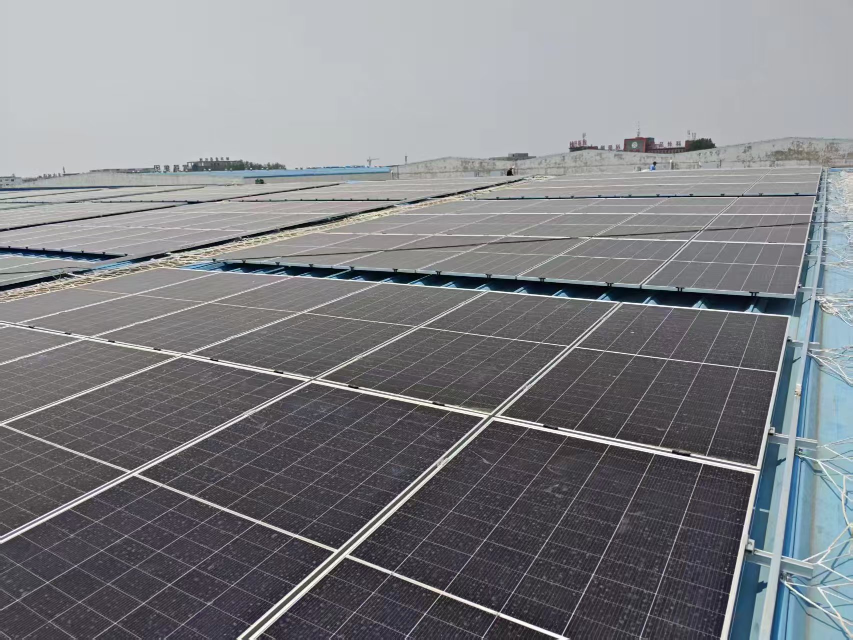 1752045494136436.jpg 1752045494136436.jpg